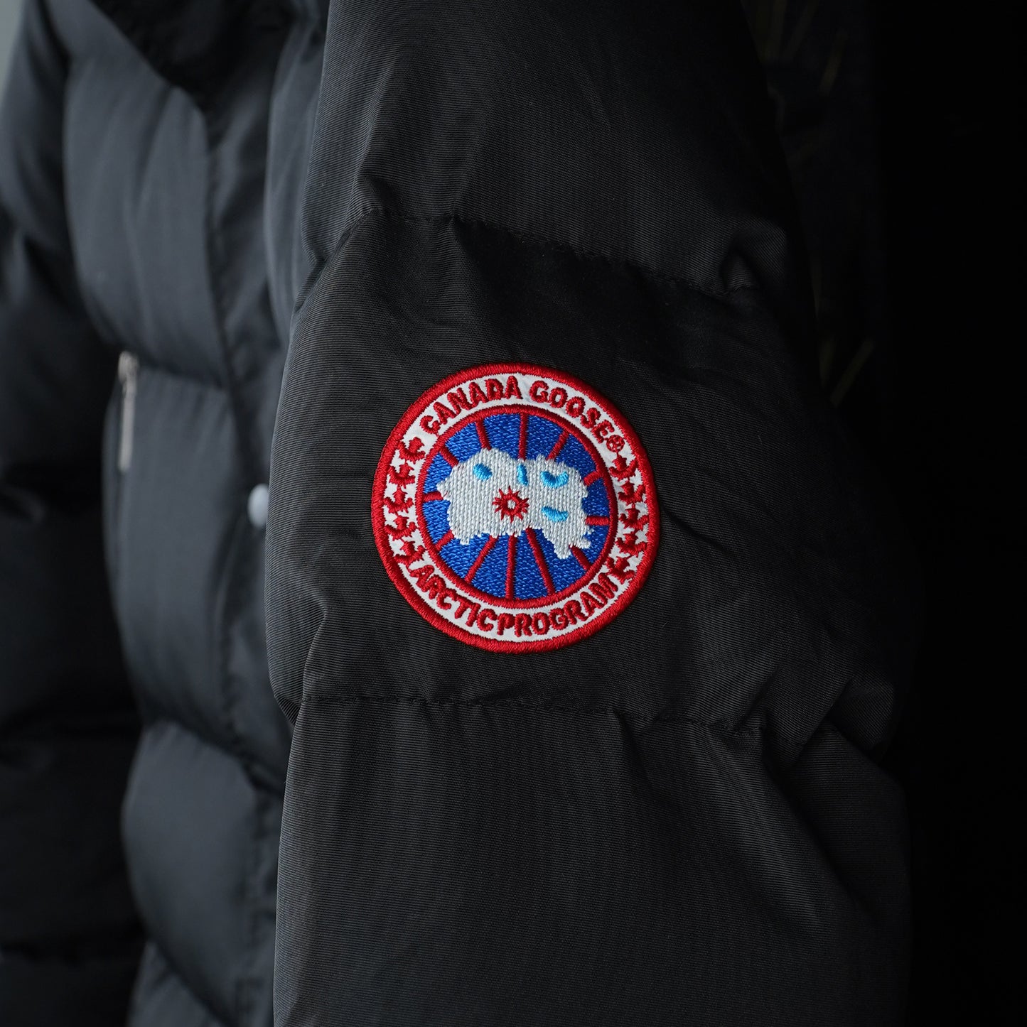 CANADA GOOSE